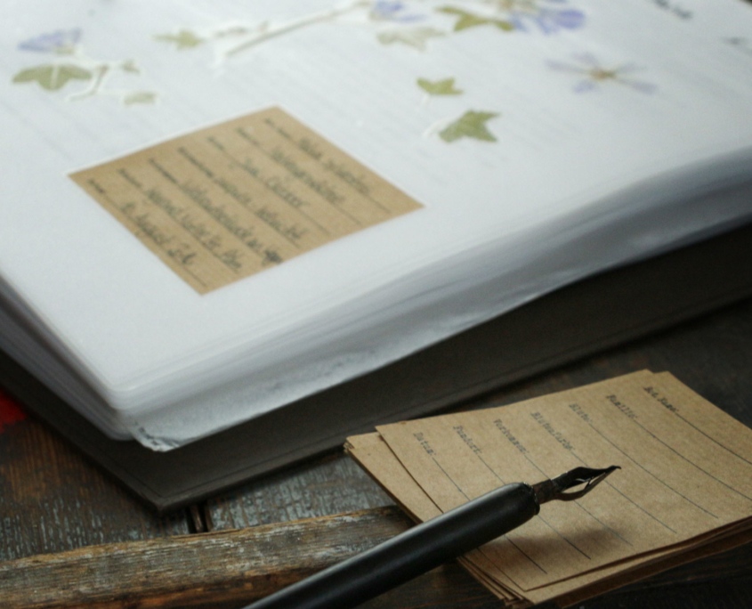 Herbarium anlegen mit Vorlagen –– Vorlagen für dein eigenes Herbarium-Projekt. Nutze unsere Herbarium Vorlagen und erstelle dein eigenes Herbarium.